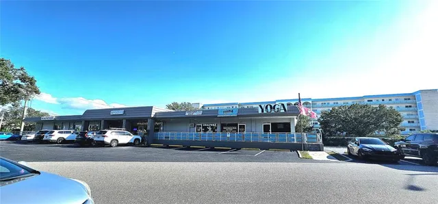 a view of a yard with plants