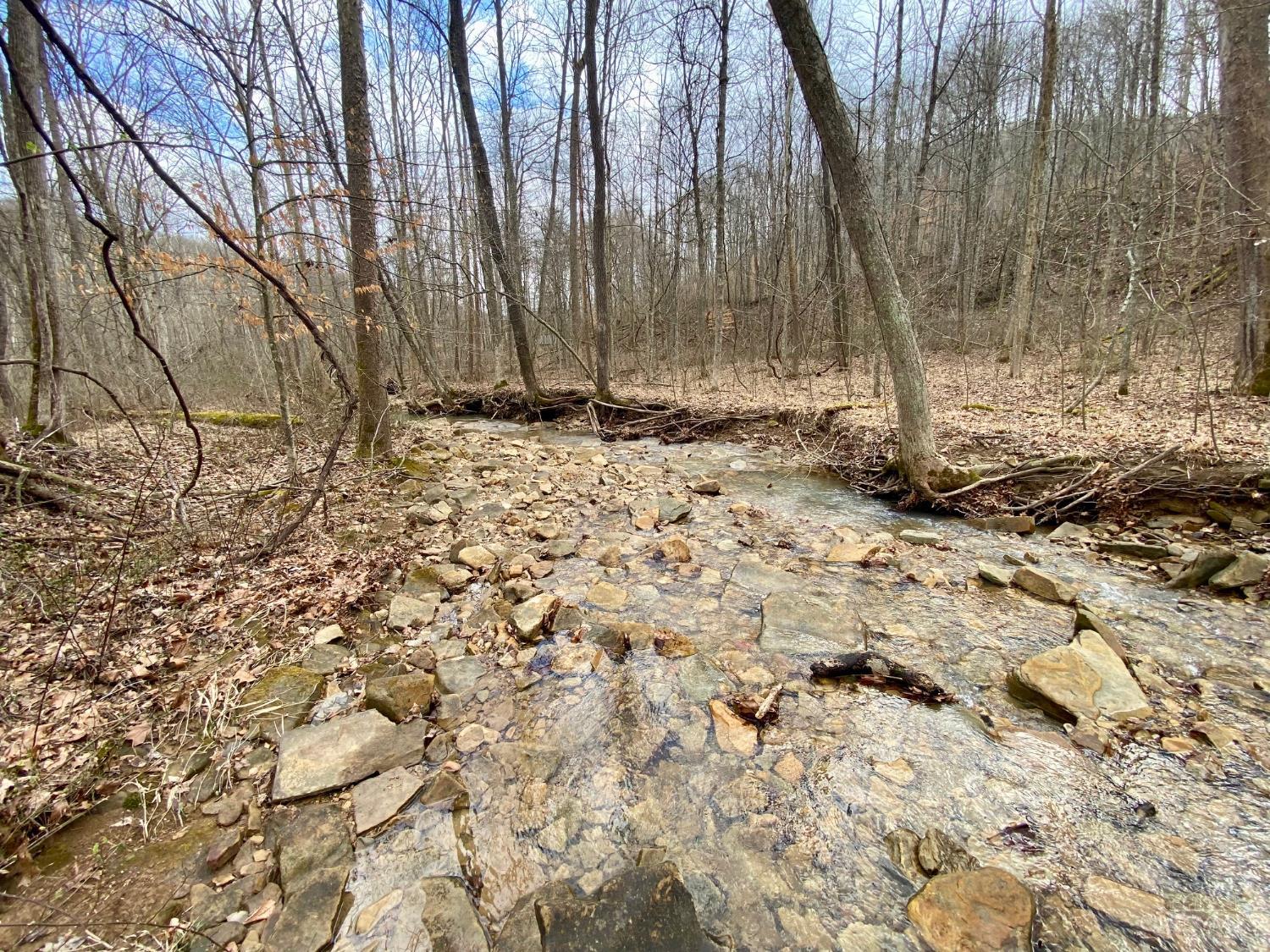 Ac Beech Fork Road Peebles, OH 45660 - Photo 2 of 49