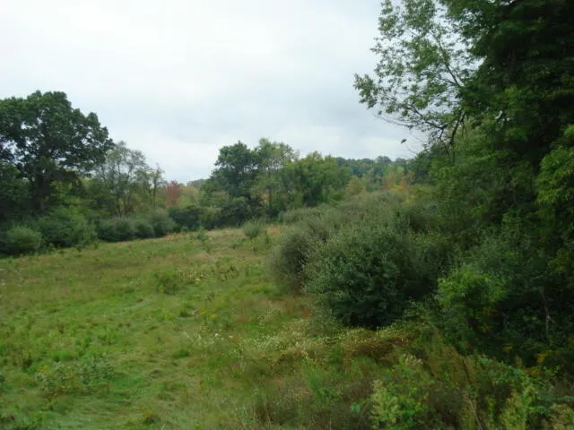 $175,000 | V/l Hawkins Road, Jackson, MI 49201