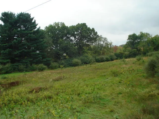 $175,000 | V/l Hawkins Road, Jackson, MI 49201