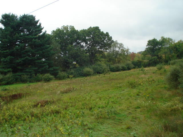 V/l Hawkins Road Jackson, MI 49201 - Photo 2 of 2 DSC04154