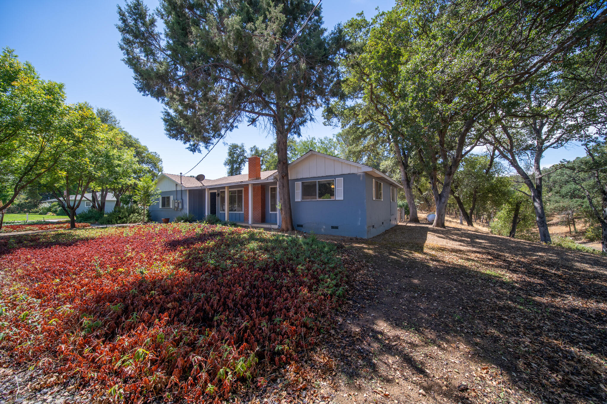 14575 Kinney Avenue Red Bluff, CA 96080 - Photo 33 of 43 a front view of a house with a yard