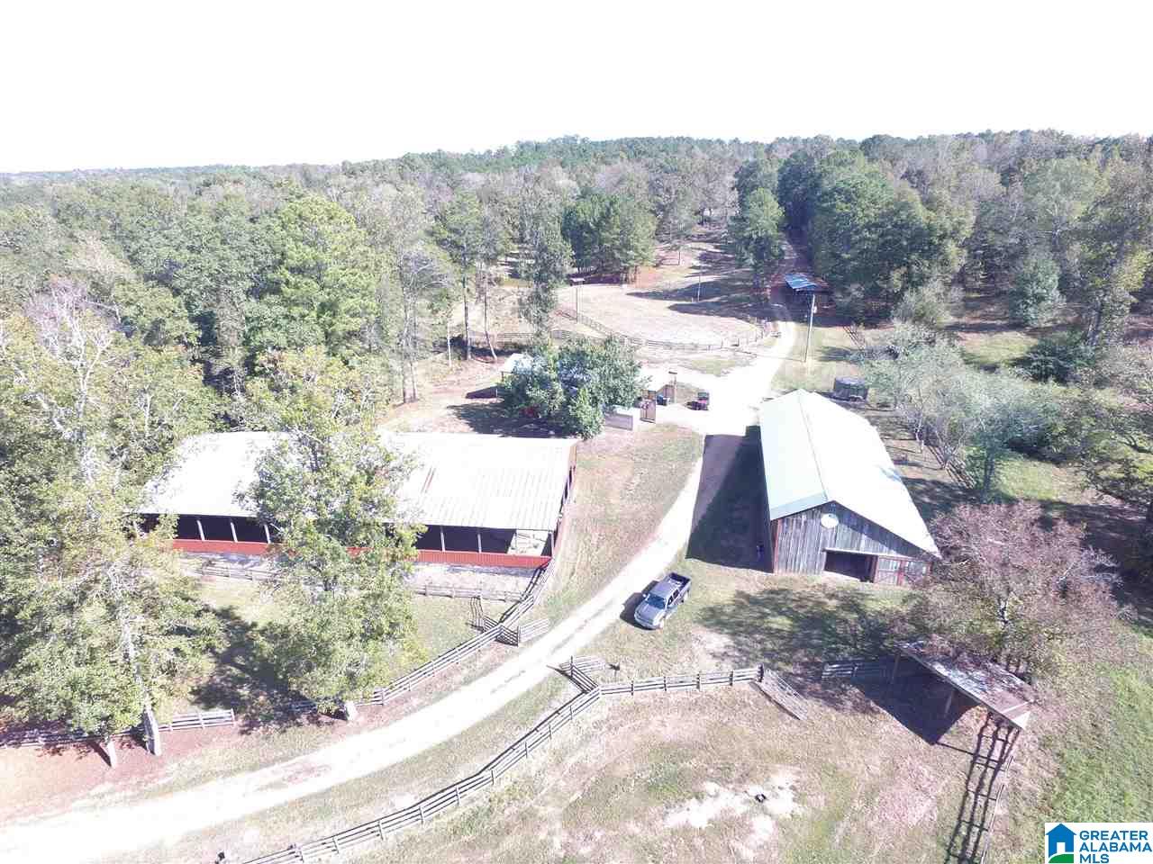 8460 Wolf Creek Road South Pell City, AL 35128 - Photo 40 of 49