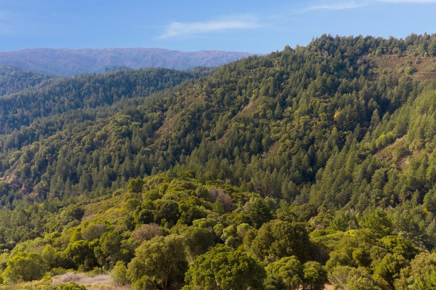 13456 Indian Trail Road Los Gatos, CA 95033 - Photo 5 of 99 a view of a lush green forest with a building in the background