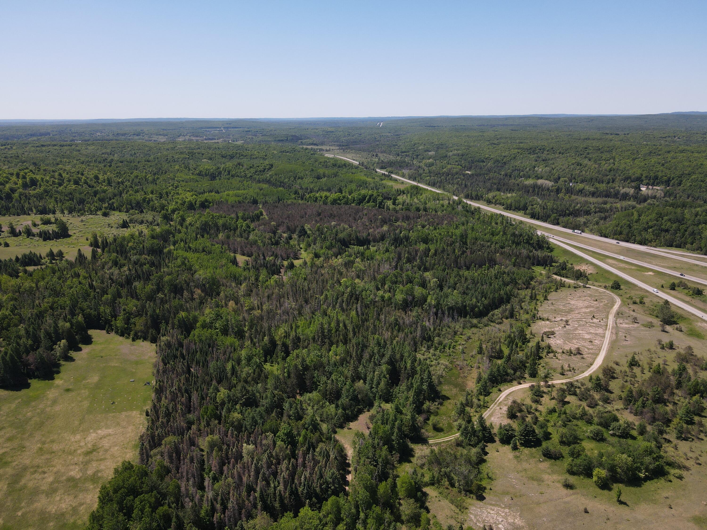 -vl Main Street Wolverine, MI 49799 - Photo 3 of 29 DJI_0604