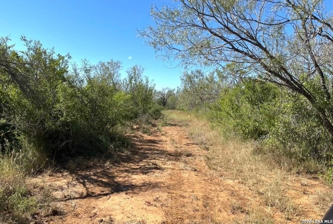 3968 Bluntzer Road Jourdanton, TX 78026 - Photo 28 of 39