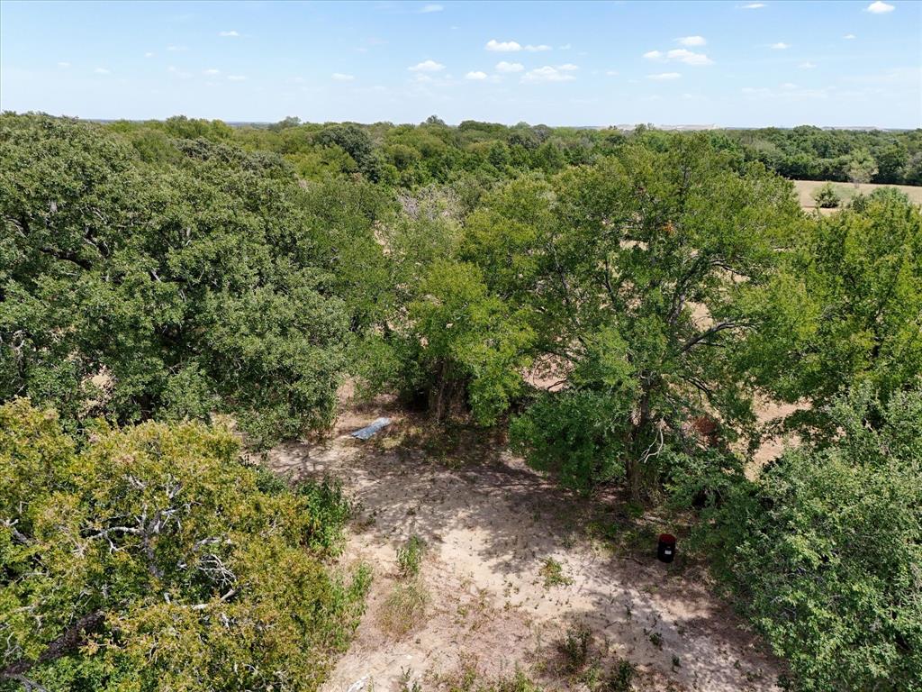 Tbd000 Williams Road Waco, TX 76705 - Photo 2 of 15 Expansive wooded acreage featuring mature trees and natural terrain