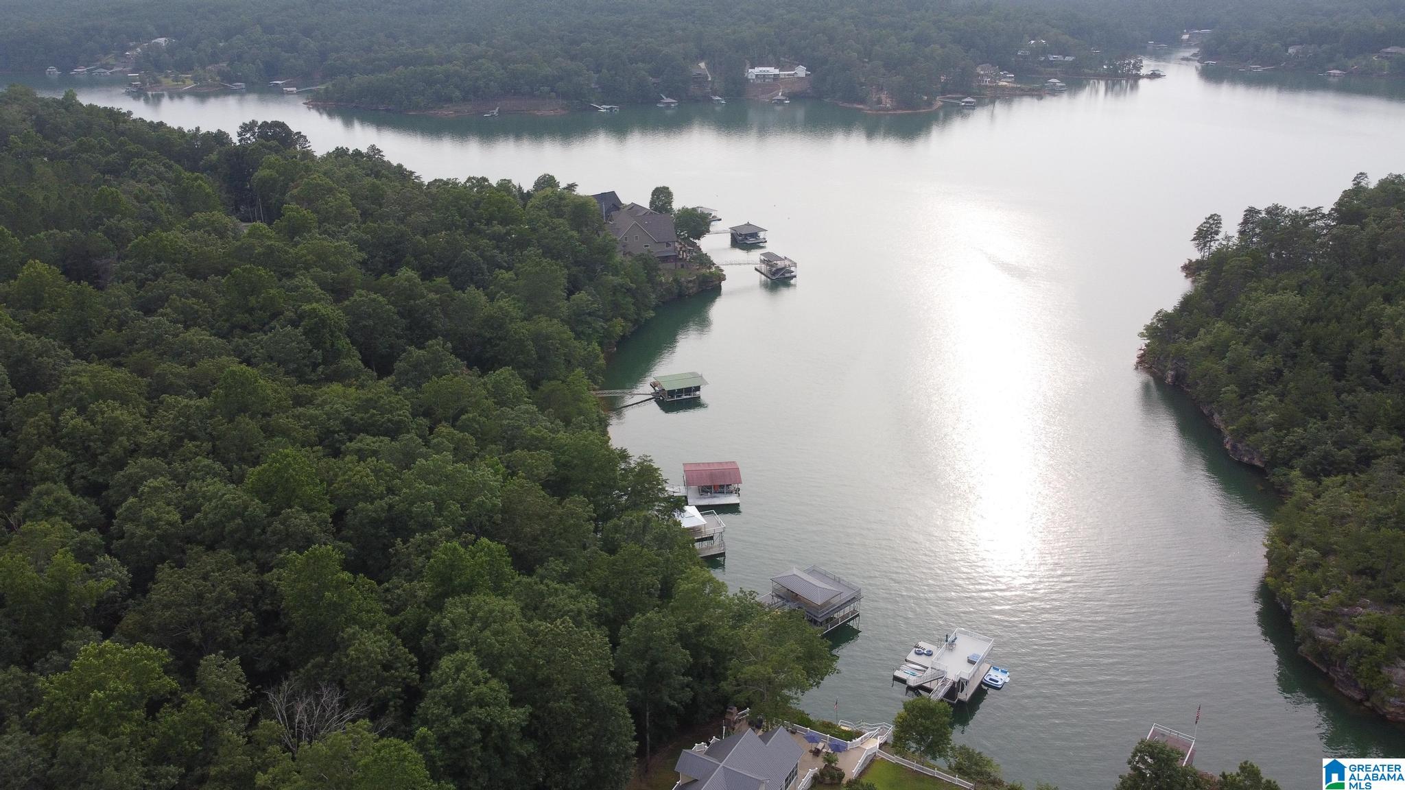 2429 Sipsey Pines Road Arley, AL 35541 - Photo 5 of 89