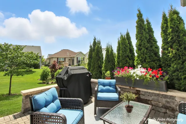 a view of couches and a potted plant on the roof deck