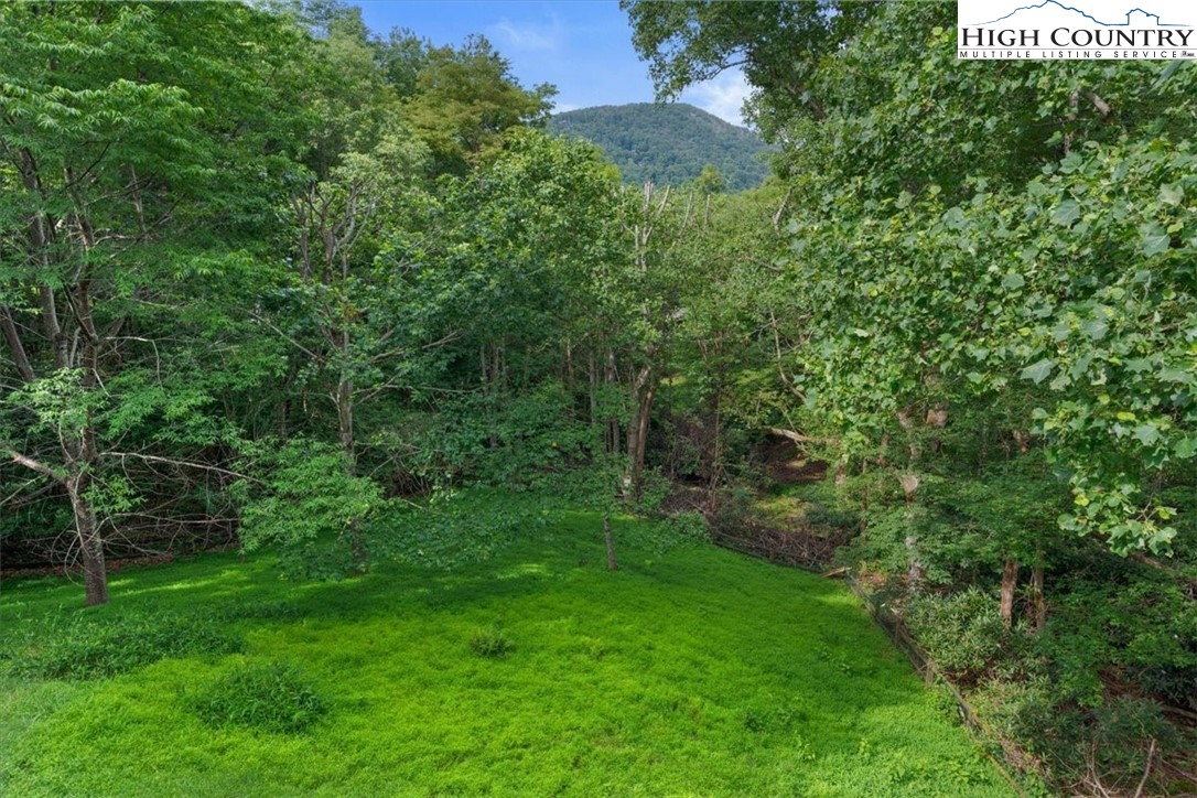 117 Chinkapin Ridge Road Seven Devils, NC 28604 - Photo 2 of 43 a view of a lush green forest
