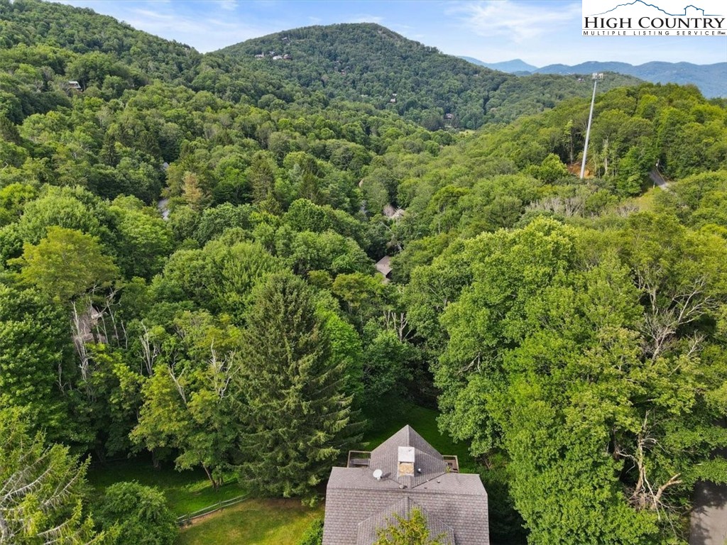 117 Chinkapin Ridge Road Seven Devils, NC 28604 - Photo 37 of 43 a view of a field with a tree