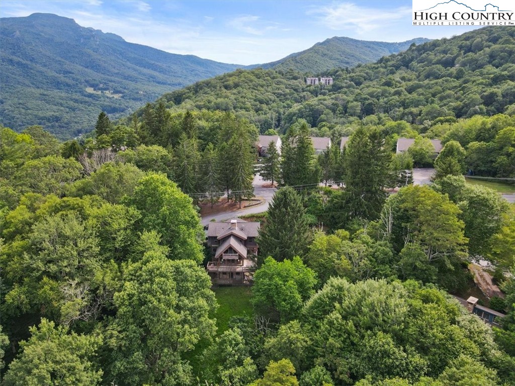 117 Chinkapin Ridge Road Seven Devils, NC 28604 - Photo 41 of 43 an aerial view of a house with a yard
