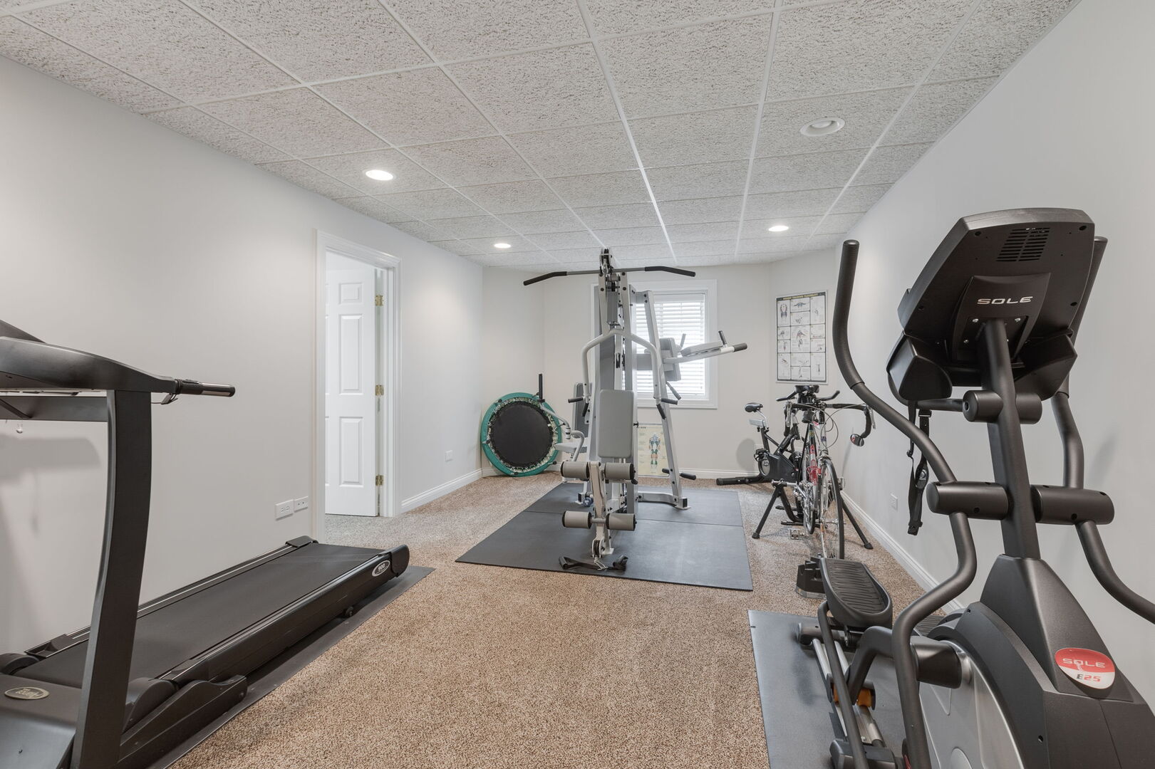 209 Carriage Trail Barrington, IL 60010 - Photo 33 of 42 a view of a room with gym equipment