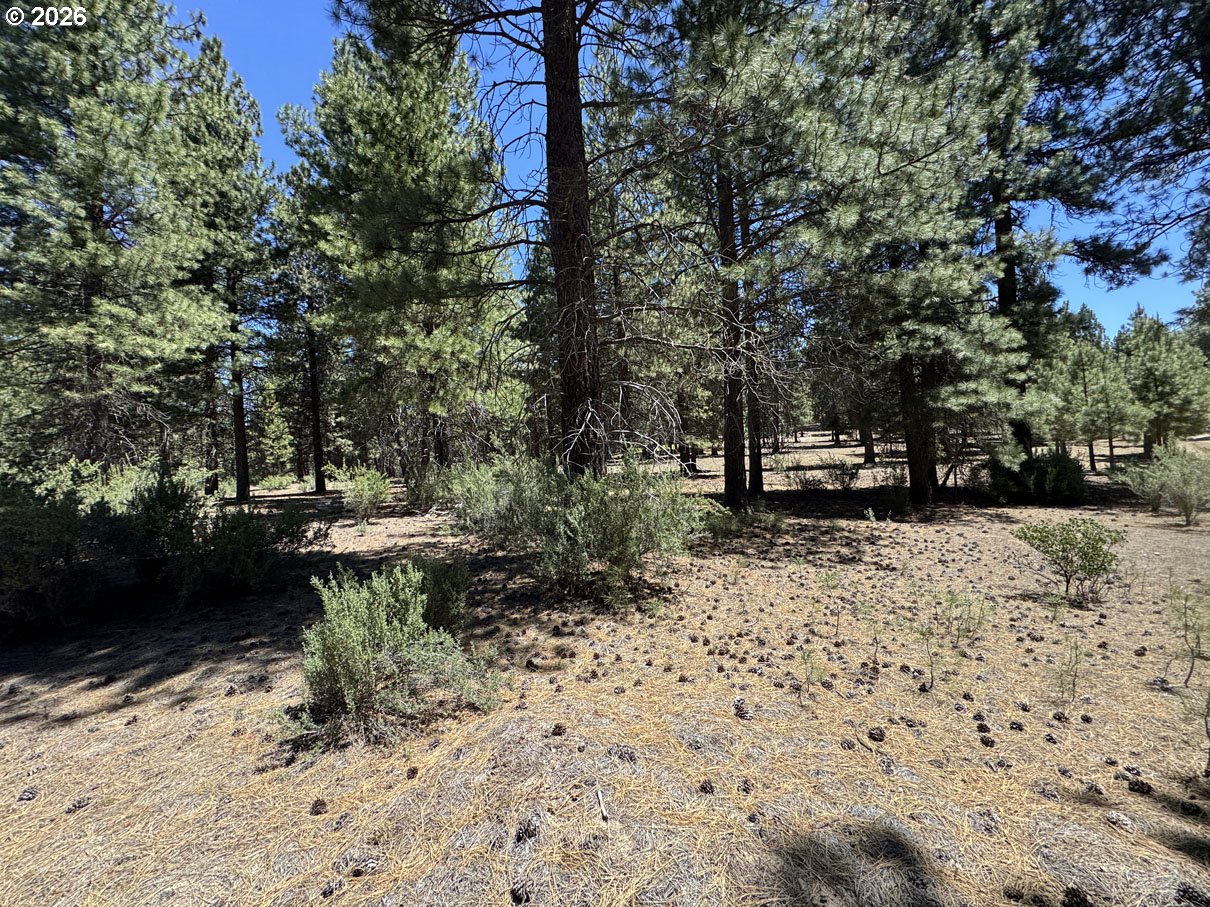 Friendship Drive, Unit 15 Chiloquin, OR 97624 - Photo 17 of 41