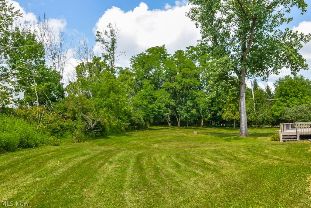 3265 Remsen Road Medina, OH 44256 - Photo 29 of 30 Backyard