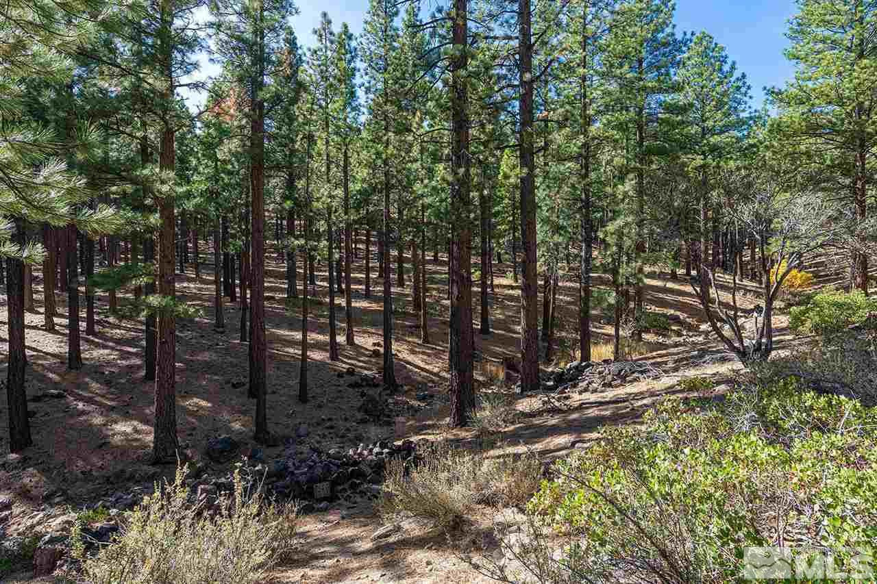 3000 Joy Lake Road Reno, NV 89511 - Photo 21 of 24 Photo 22