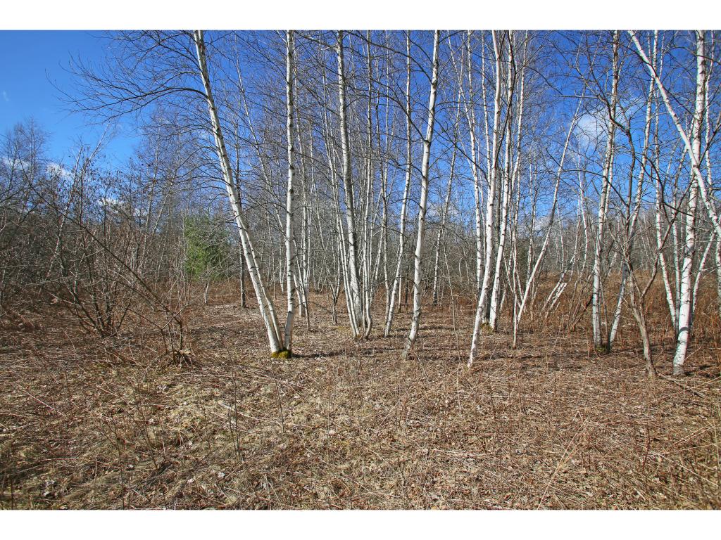 555 Oak Hill Road Williston, VT 05495 - Photo 14 of 36 Gallery Image 14