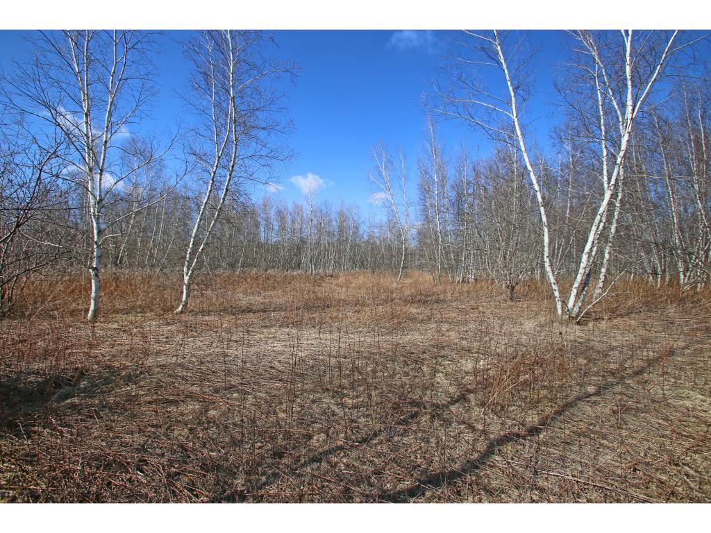 555 Oak Hill Road Williston, VT 05495 - Photo 22 of 36 Gallery Image 22