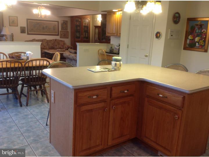 133 Ziegler Road Leesport, PA 19533 - Photo 14 of 25 Kitchen