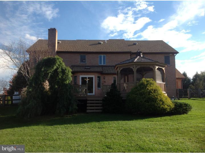 133 Ziegler Road Leesport, PA 19533 - Photo 4 of 25 Exterior Back