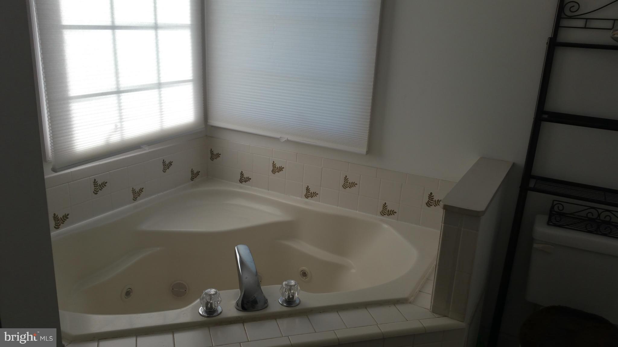 8488 Deer Run Road Denton, MD 21629 - Photo 18 of 24 Bath (Master)