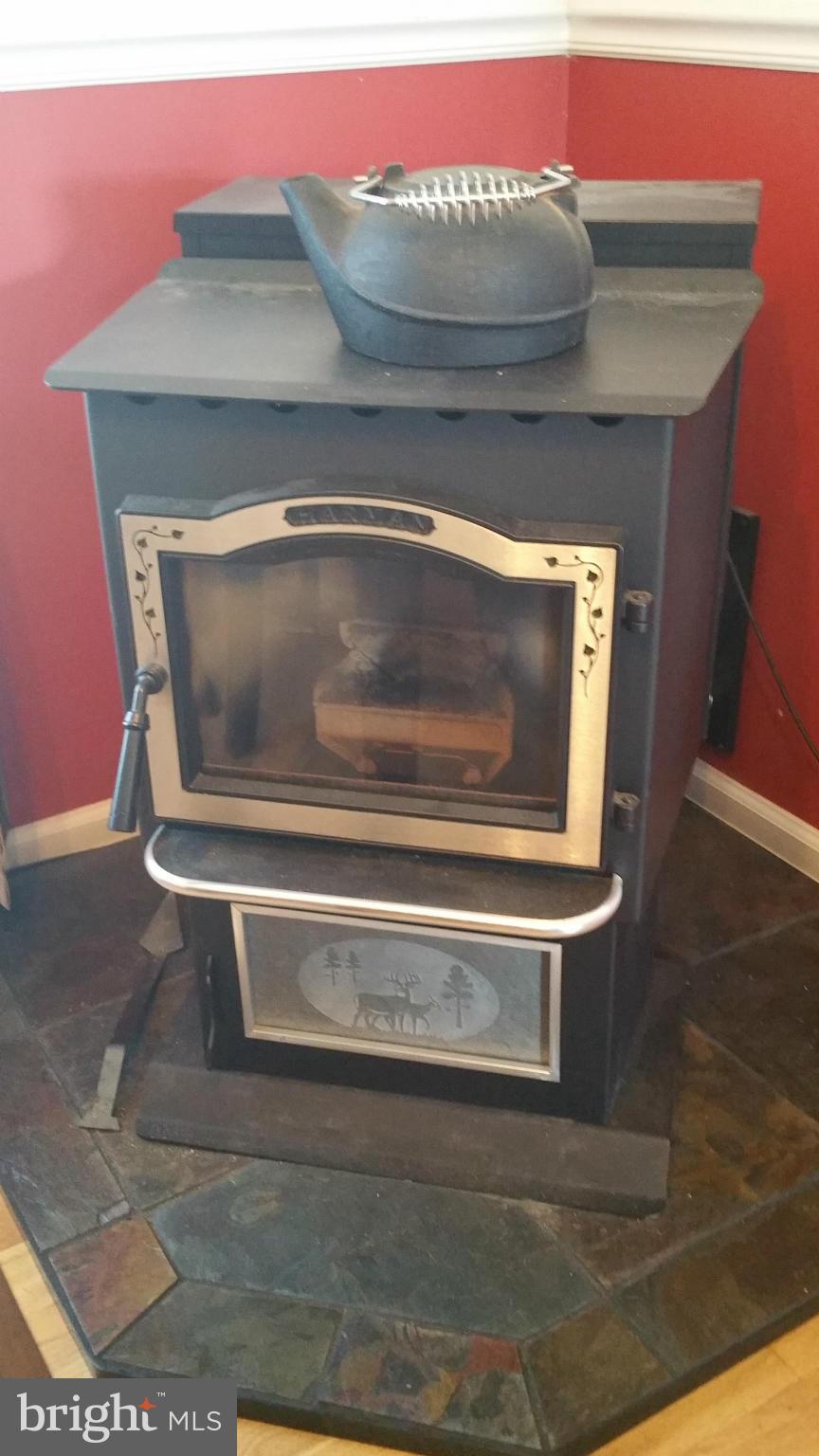 8488 Deer Run Road Denton, MD 21629 - Photo 19 of 24 Pellet Stove