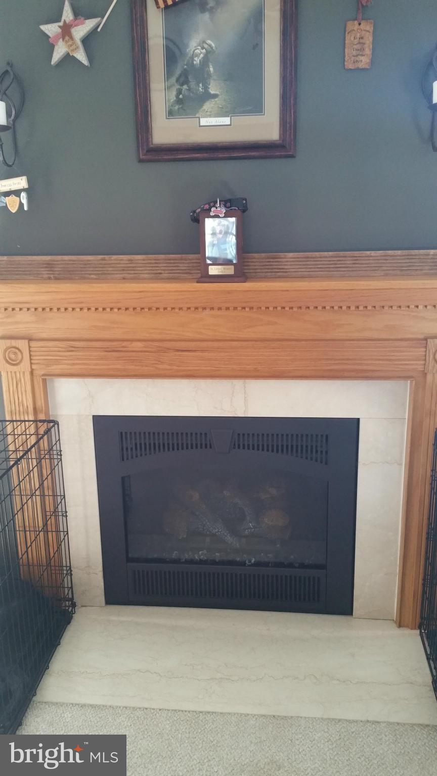 8488 Deer Run Road Denton, MD 21629 - Photo 20 of 24 Gas Fireplace