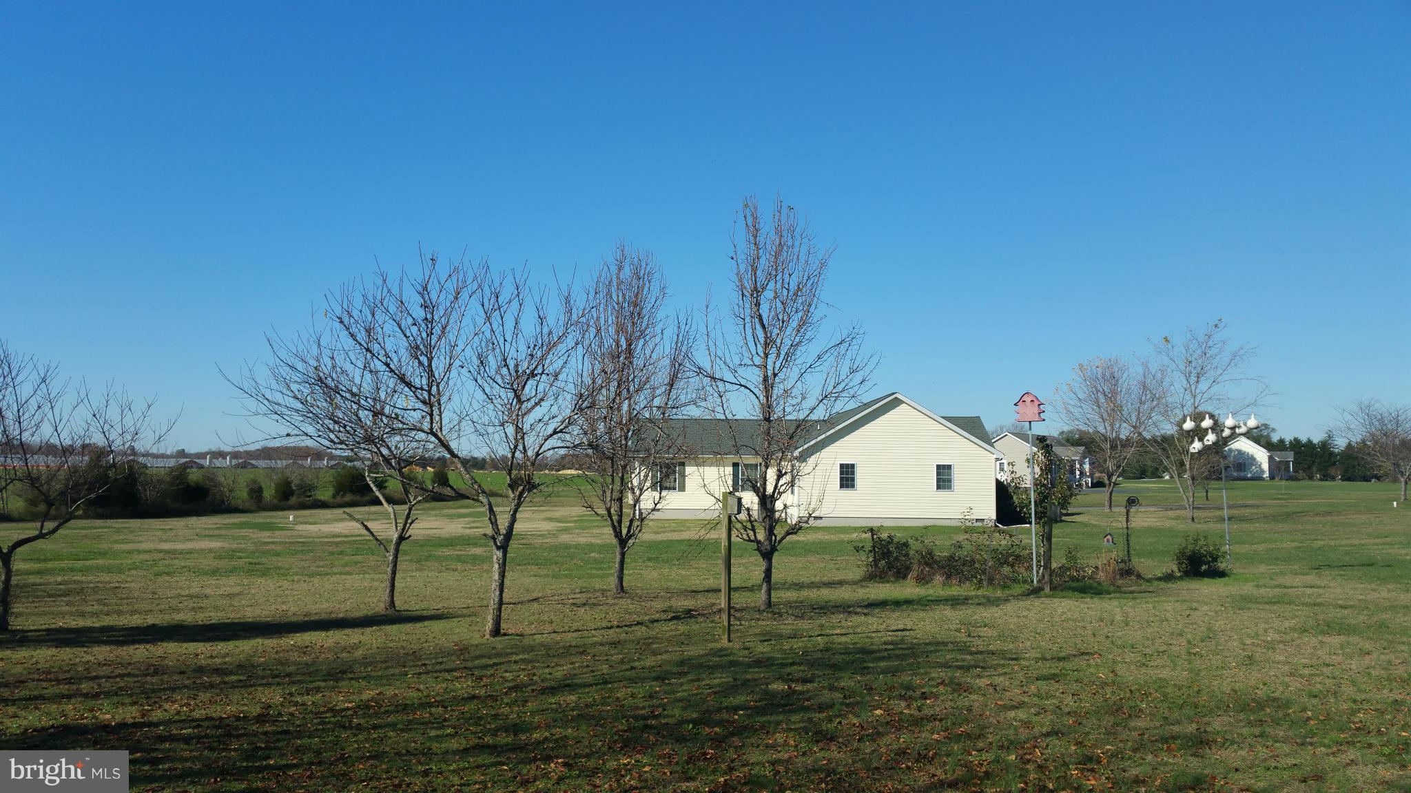 8488 Deer Run Road Denton, MD 21629 - Photo 23 of 24 Fruit trees