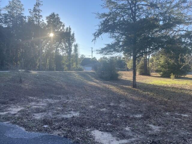 6047 Eden Square Crestview, FL 32539 - Photo 6 of 39 a view of a yard with a tree