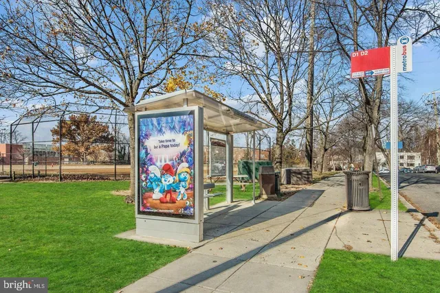 a view of a park with large trees