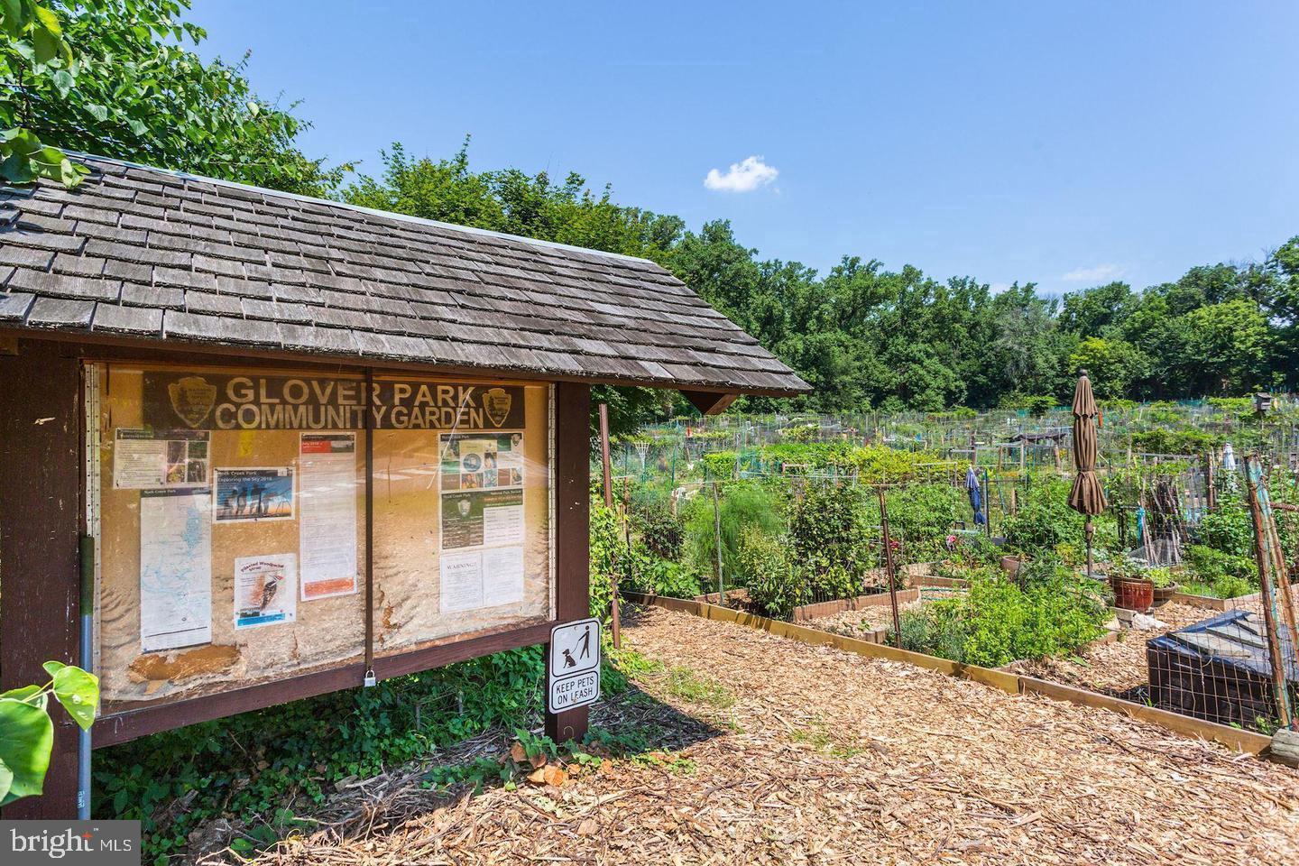 2725 39th Street Northwest, Unit 2O9 Washington, DC 20007 - Photo 31 of 35 a backyard of a house with lots of green space