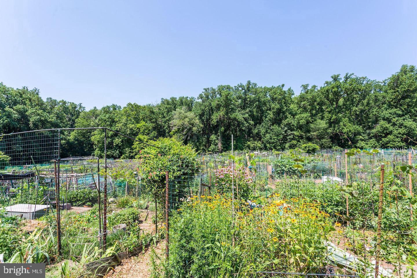 2725 39th Street Northwest, Unit 2O9 Washington, DC 20007 - Photo 32 of 35 a view of a garden with plants and large trees
