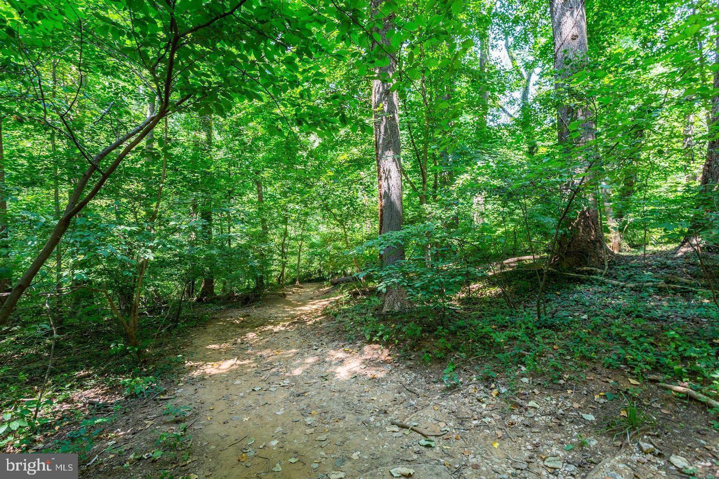 2725 39th Street Northwest, Unit 2O9 Washington, DC 20007 - Photo 34 of 35 a backyard of a house with lots of green space