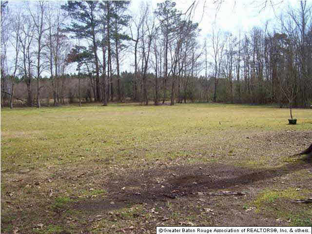 11259 Buddy Ellis Road Denham Springs, LA 70726 - Photo 4 of 8 Gallery Image 4