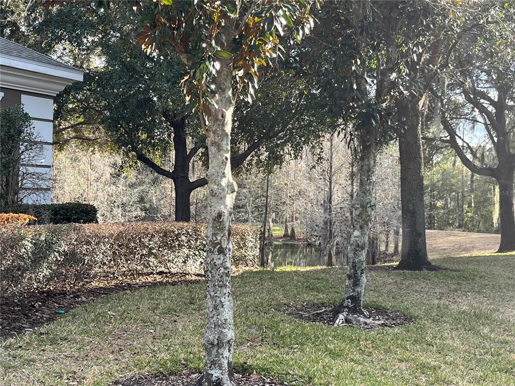3115 Capri Isle Way Orlando, FL 32835 - Photo 38 of 40 a view of a yard with plants and a large tree