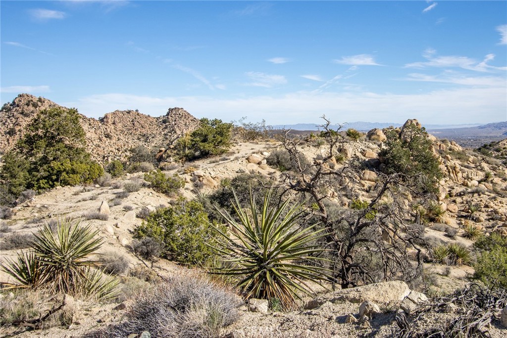 6274 Omega Trail Yucca Valley, CA 92284 - Photo 11 of 25