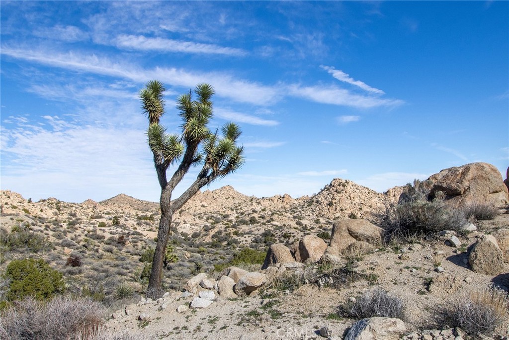 6274 Omega Trail Yucca Valley, CA 92284 - Photo 12 of 25