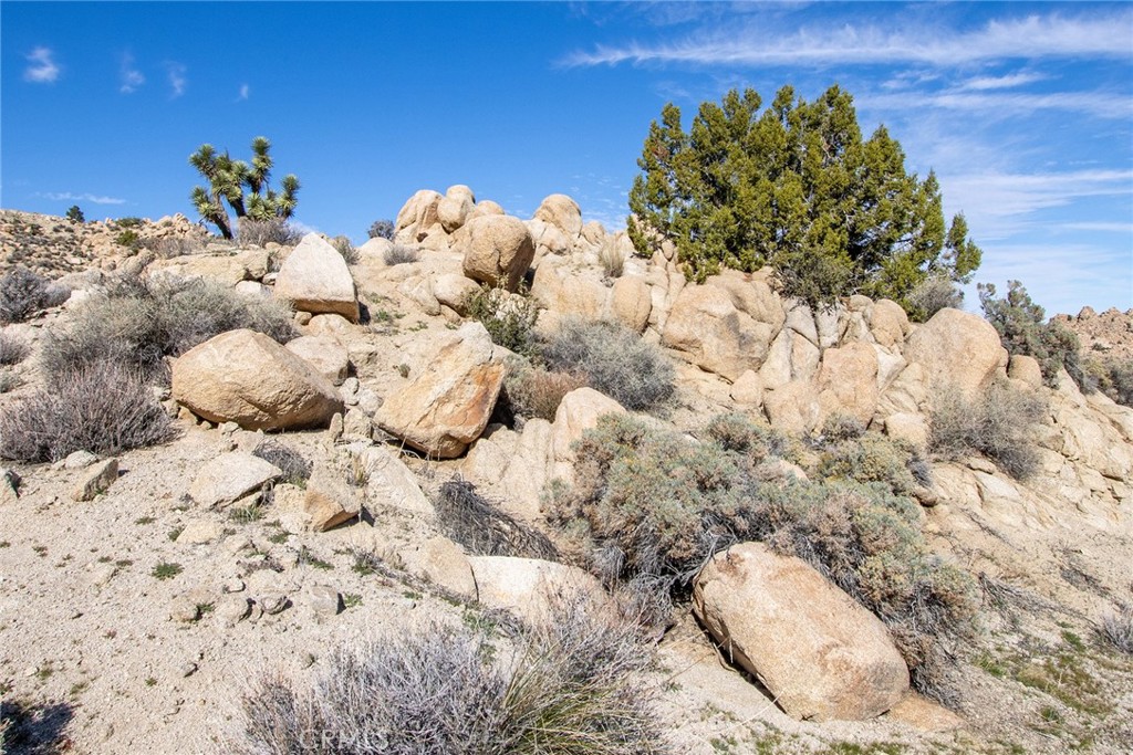 6274 Omega Trail Yucca Valley, CA 92284 - Photo 13 of 25