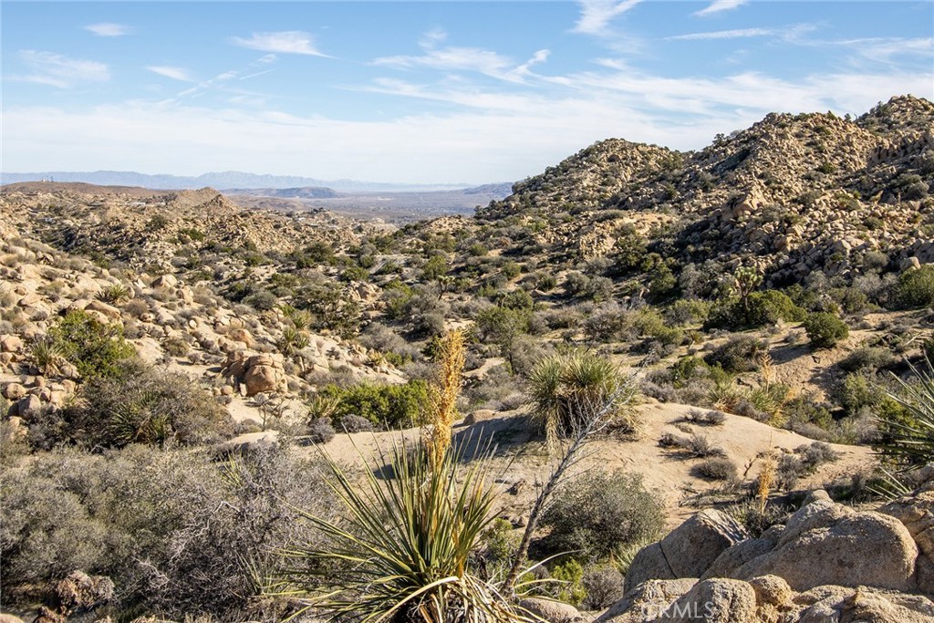6274 Omega Trail Yucca Valley, CA 92284 - Photo 14 of 25
