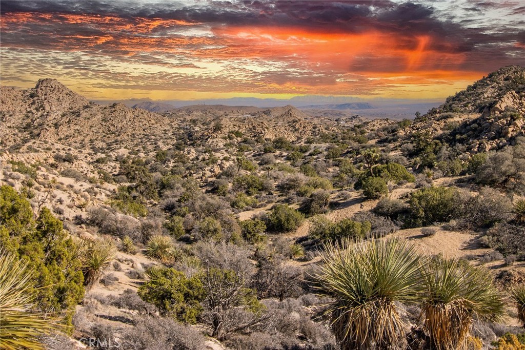 6274 Omega Trail Yucca Valley, CA 92284 - Photo 15 of 25