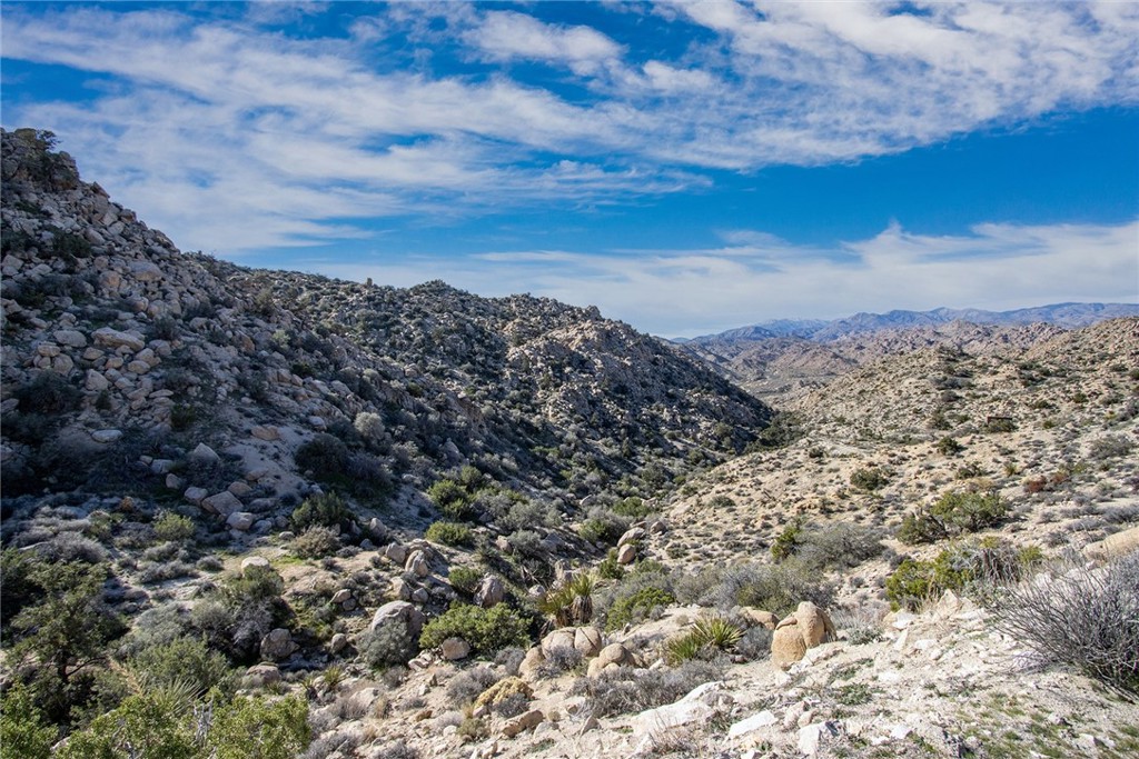 6274 Omega Trail Yucca Valley, CA 92284 - Photo 18 of 25