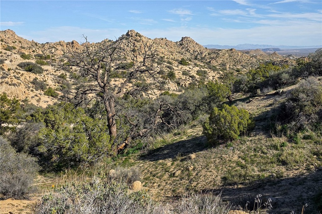 6274 Omega Trail Yucca Valley, CA 92284 - Photo 25 of 25