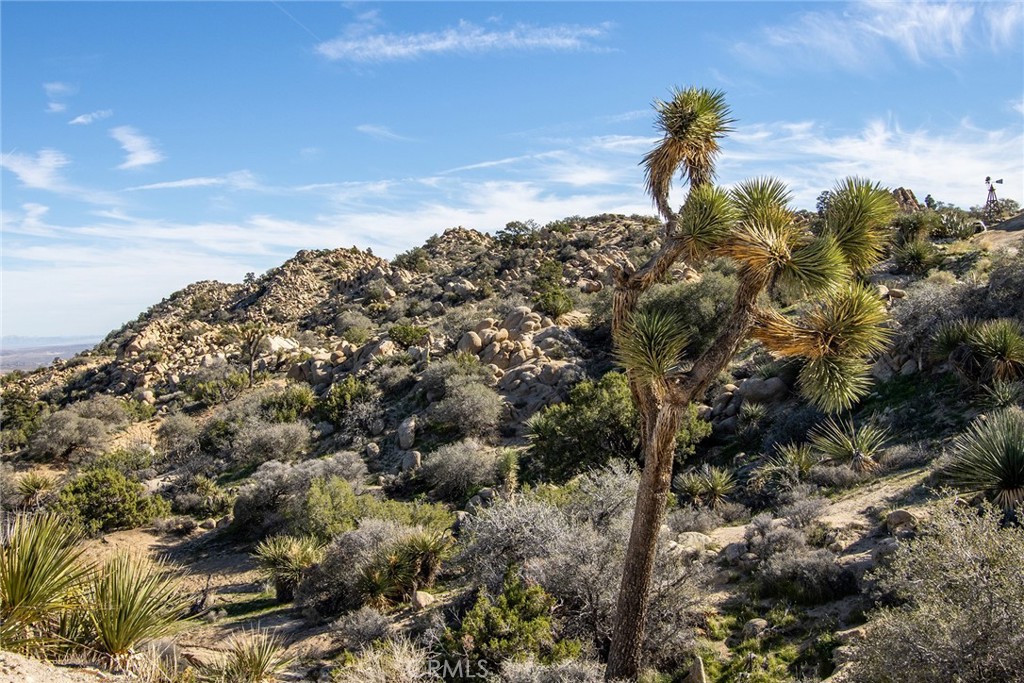 6274 Omega Trail Yucca Valley, CA 92284 - Photo 3 of 25