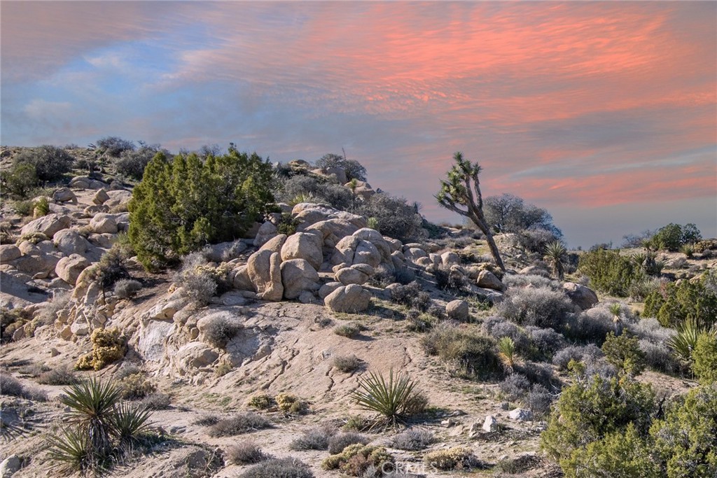 6274 Omega Trail Yucca Valley, CA 92284 - Photo 4 of 25