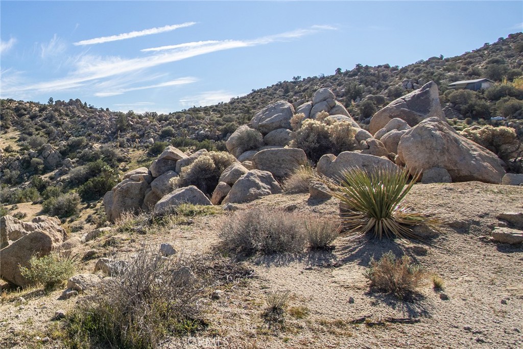 6274 Omega Trail Yucca Valley, CA 92284 - Photo 6 of 25