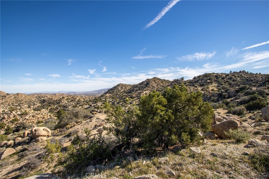 6274 Omega Trail Yucca Valley, CA 92284 - Photo 7 of 25