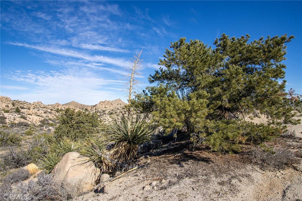 6274 Omega Trail Yucca Valley, CA 92284 - Photo 9 of 25