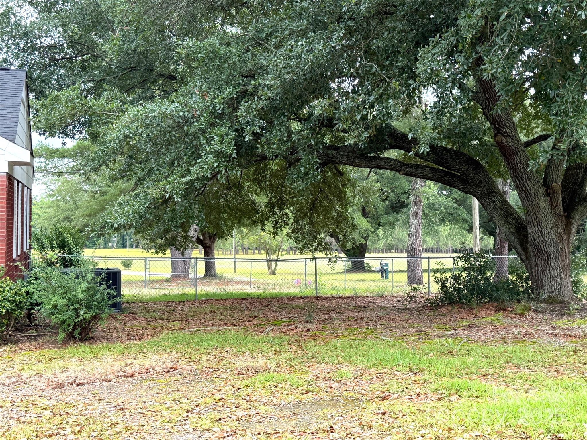 4463 Highway 52 Cheraw, SC 29520 - Photo 19 of 21 a view of a yard with a tree