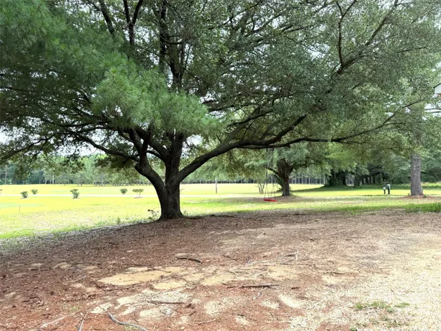 a view of yard with large trees
