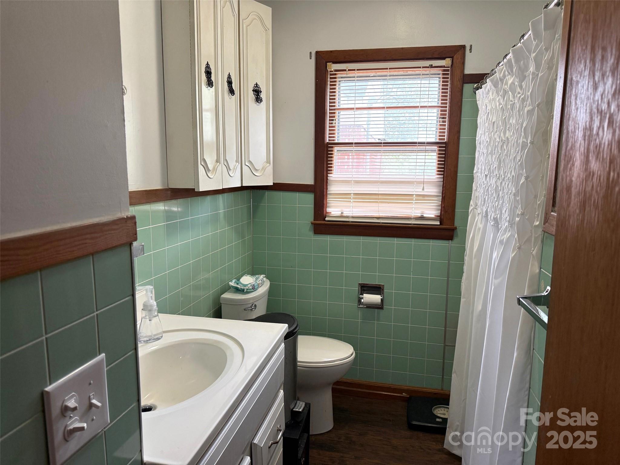 4463 Highway 52 Cheraw, SC 29520 - Photo 10 of 21 a bathroom with a sink and toilet